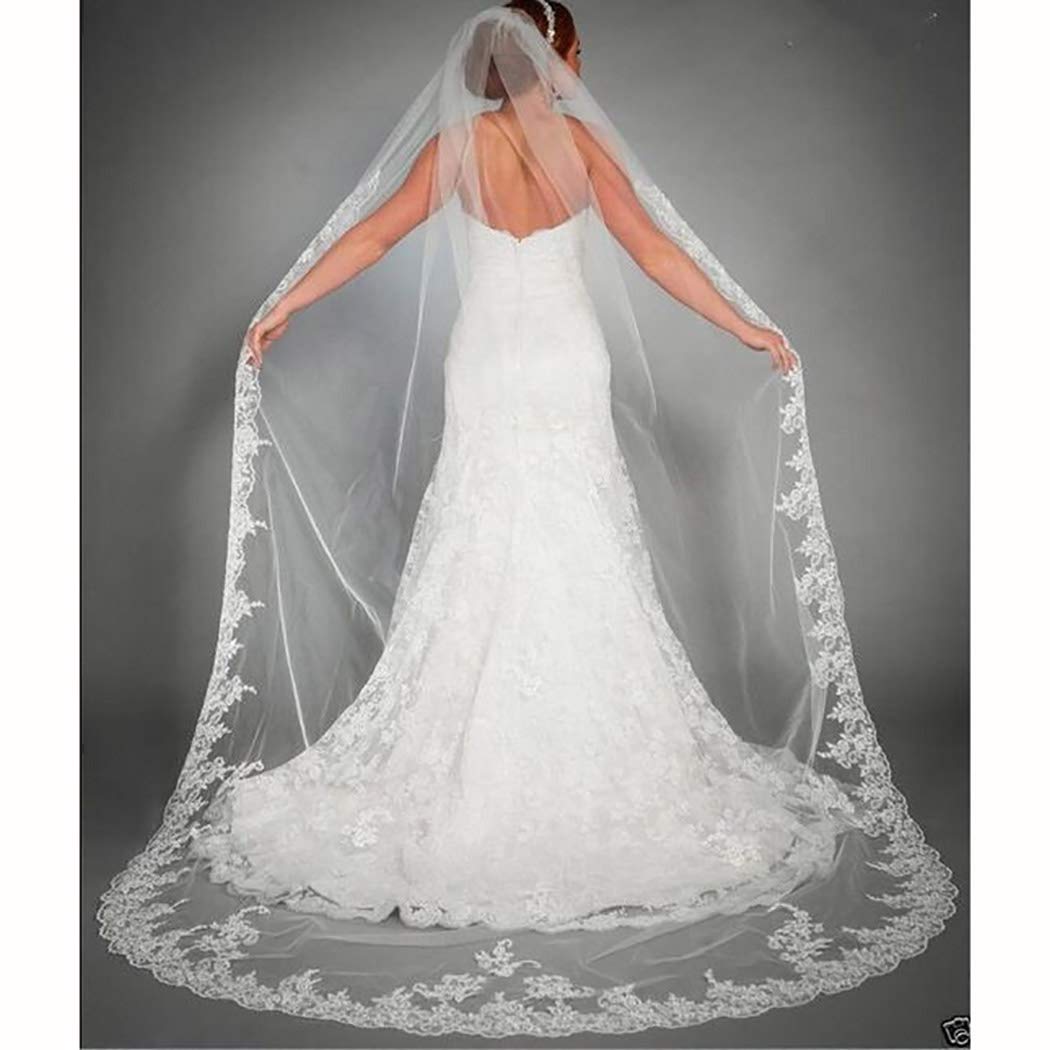 Cathedral Length Wedding Veil with Lace Trim