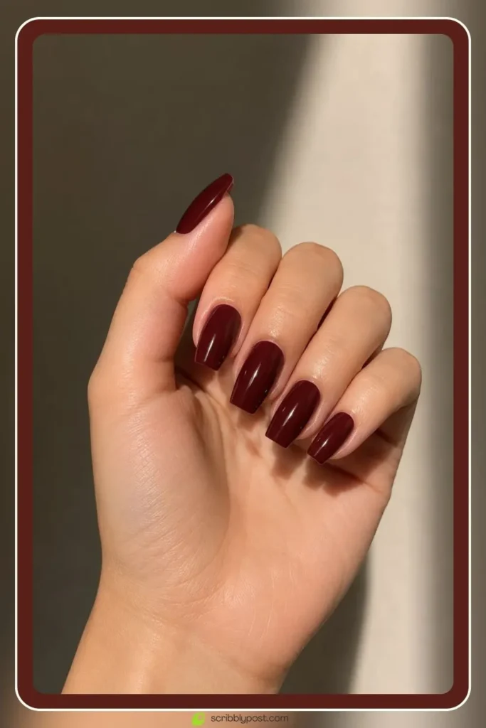 Old money burgundy short coffin nails in deep classic finish for college